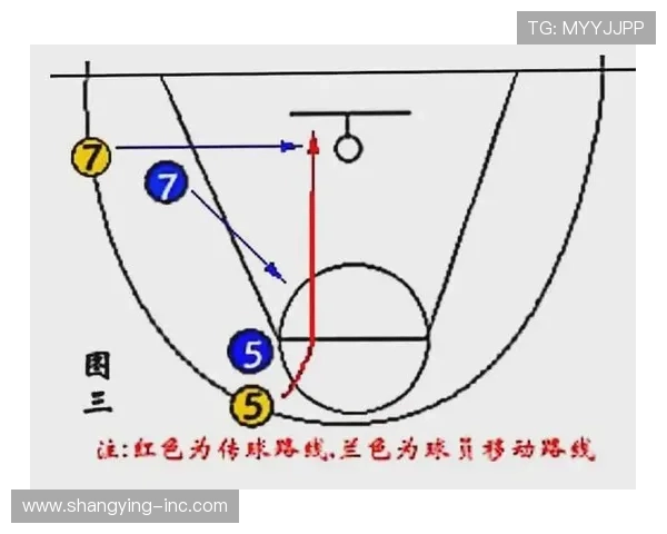 杭州羽毛球队快攻战术解析与深度剖析的全景视角 杭州羽毛球队快攻战术解析与深度剖析的全景视角