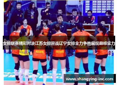 女排联赛精彩对决江苏女排迎战辽宁女排全力争胜展现巅峰实力