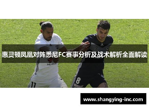 惠灵顿凤凰对阵悉尼FC赛事分析及战术解析全面解读