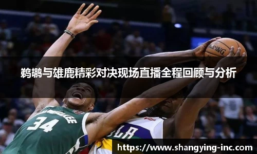 ballbet贝博鹈鹕与雄鹿精彩对决现场直播全程回顾与分析